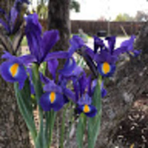 Meet your Posher, Stacey